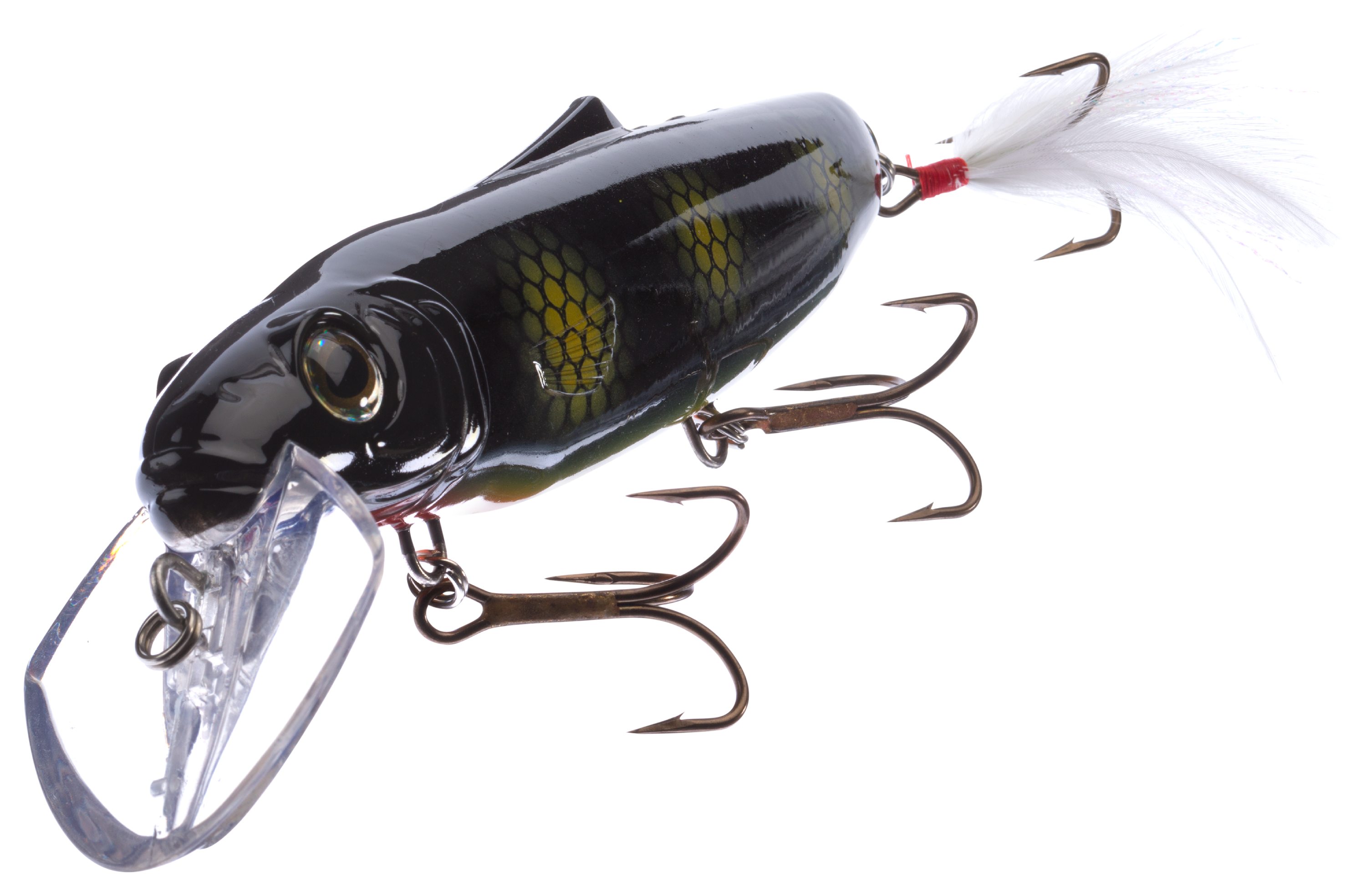 Livingston Lures Predator Series Striker 173 Crankbait - Black Perch ...